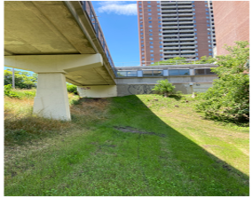Crescent Town Pedestrian Bridge